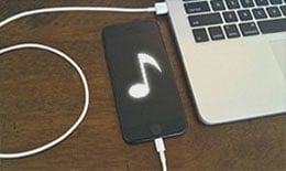 Transferencia de Datos de iPhone