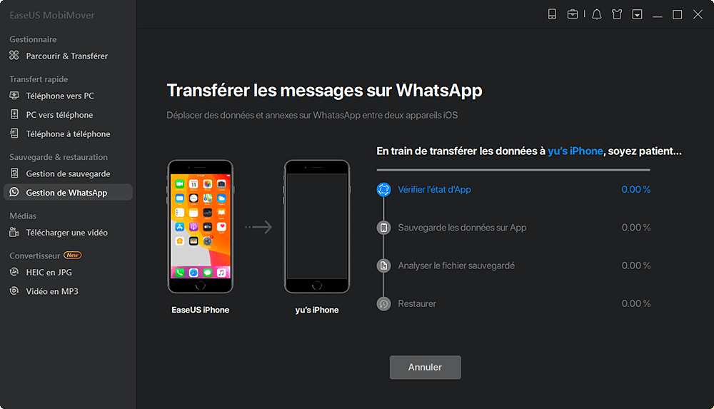 Transfert de WhatsApp de l'iPhone à l'iPhone - processus de transfert