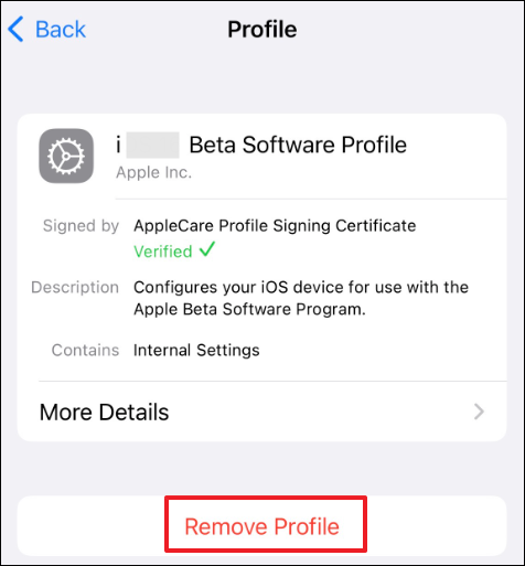 remove iOS 26 beta profile from Settings
