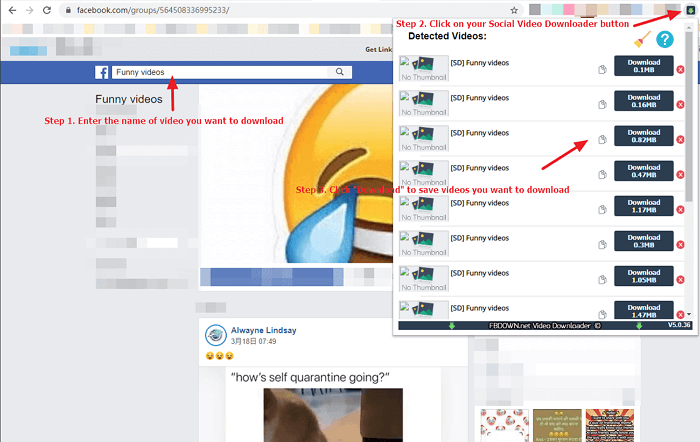 FB Video Downloader Extension