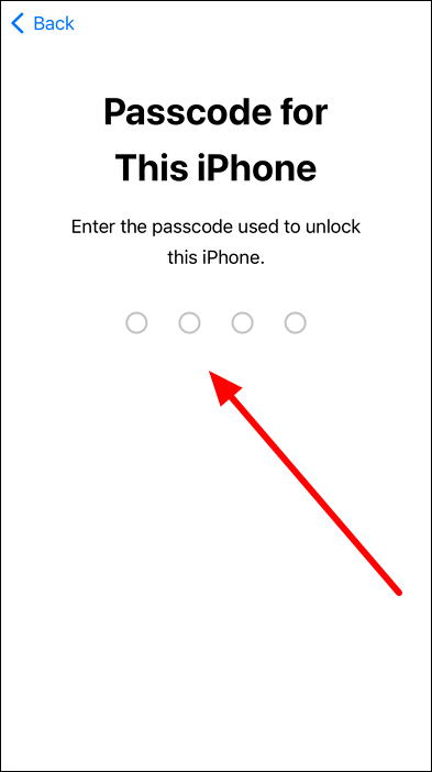 fournir le code d'accès de l'iPhone pour confirmer