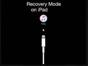put ipad into recovery mode