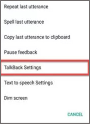 tap TalkBack Settings