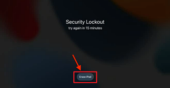 choose Erase iPad option at the bottom of the iPad screen