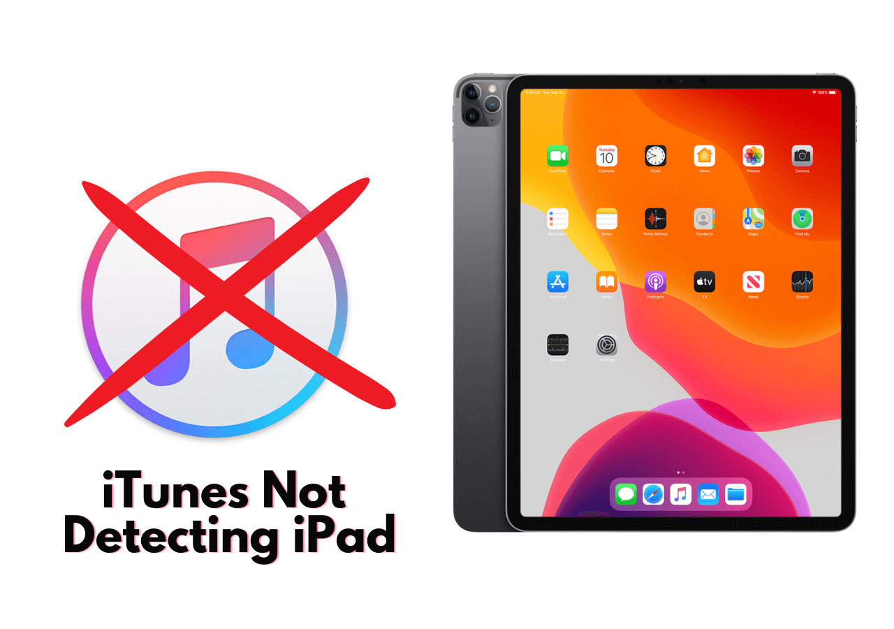 how-to-fix-itunes-not-detecting-ipad-in-7-simple-ways-easeus