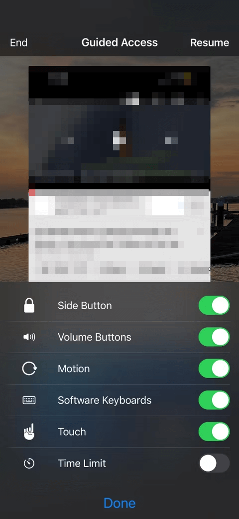 additonal options for guided access