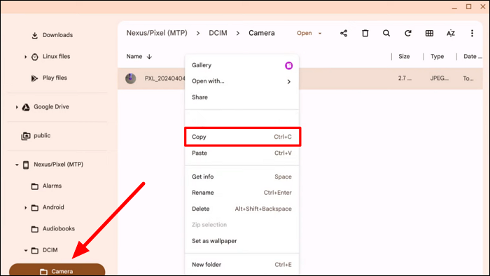 scegli l'opzione copia