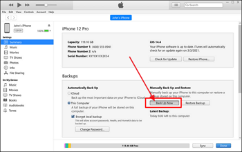 hit the Back Up Now button in Backups section