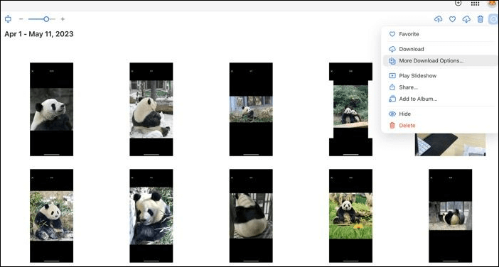 download options in icloud photos