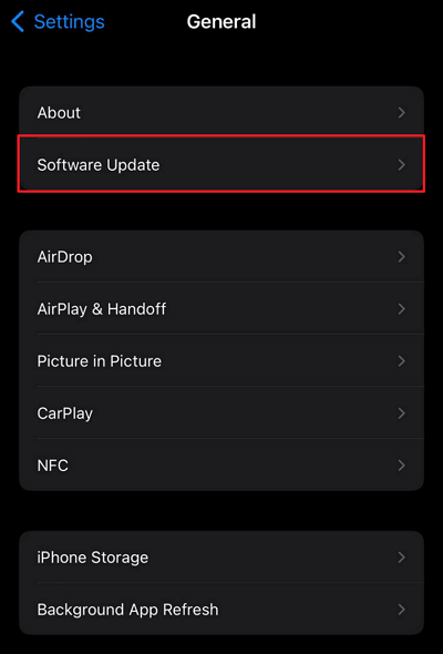 tap on the software update option