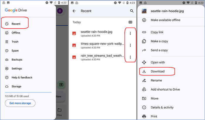 Option de téléchargement