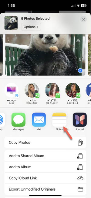 Share photos to Notes