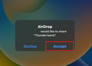 tap Accept option on your iPhone if prompted