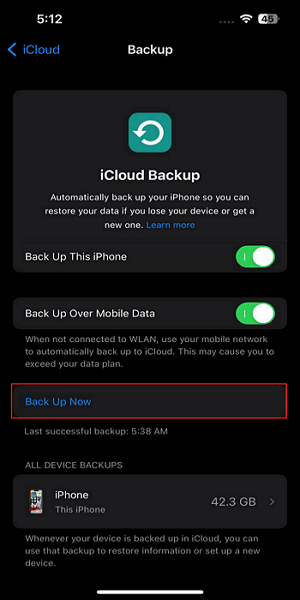 tap on Back Up Now option