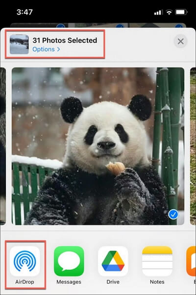 Transférer plus de 25 photos à l'aide d'AirDrop sur iPhone