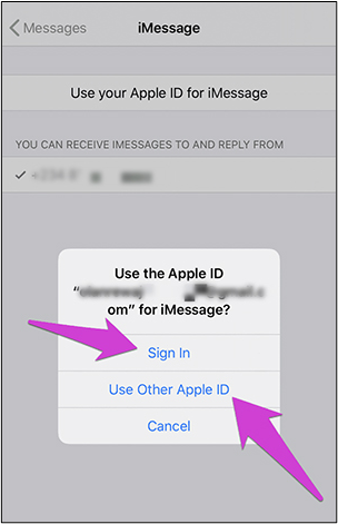 Use Other Apple ID