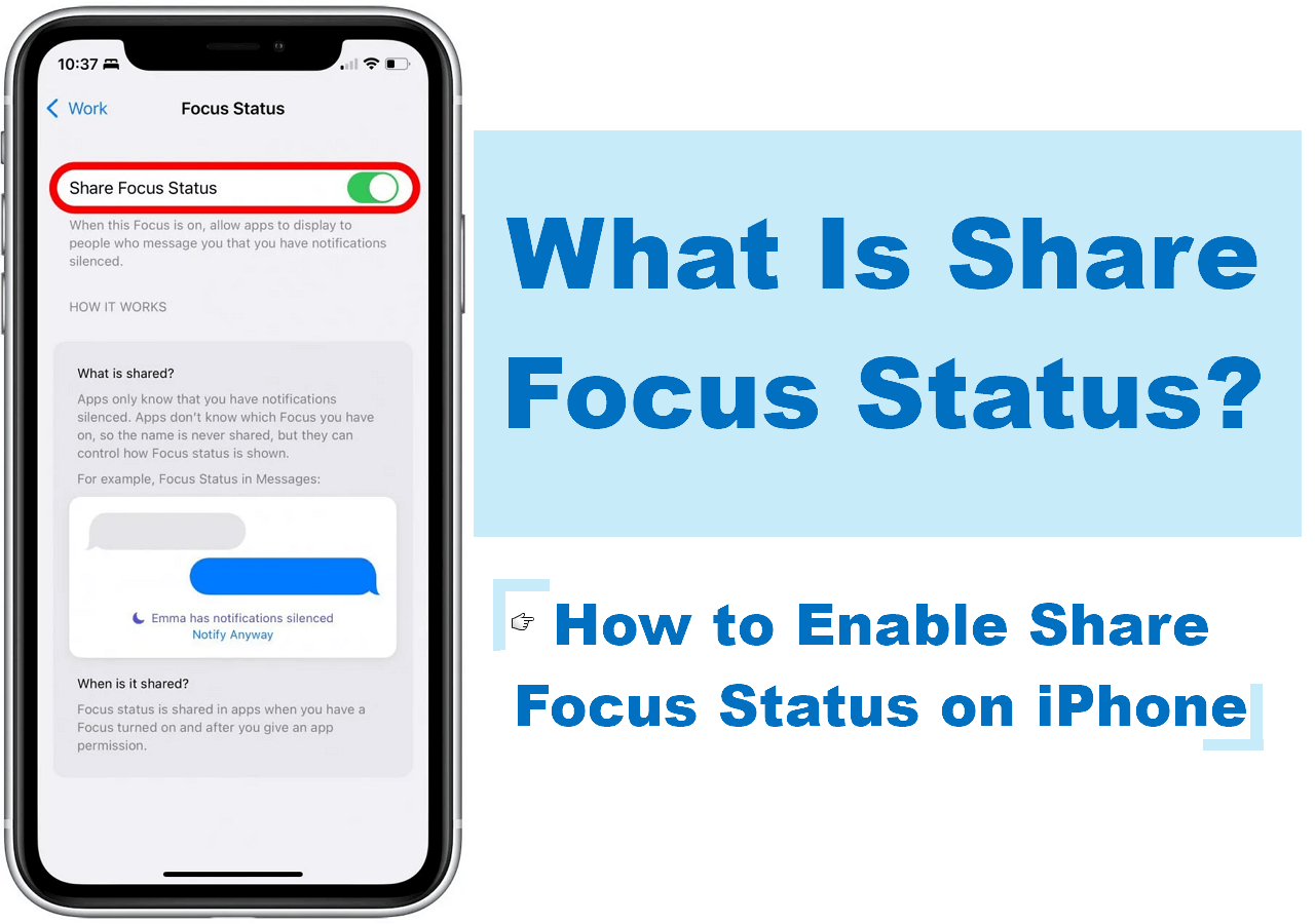 What Is Share Focus Status? How to Enable It?