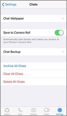 settings chat save to camera roll