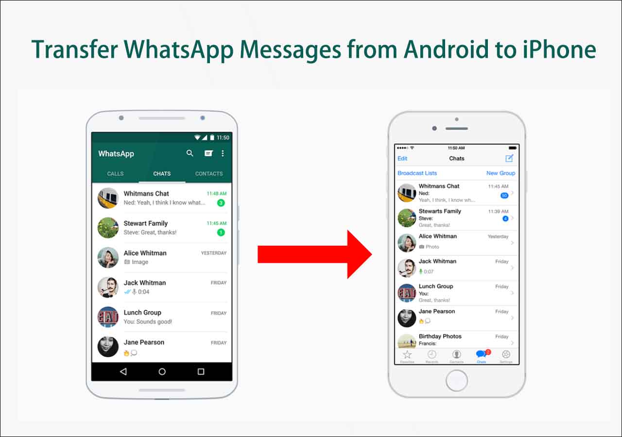 Как отправить видео из телеграмма в whatsapp фото 50